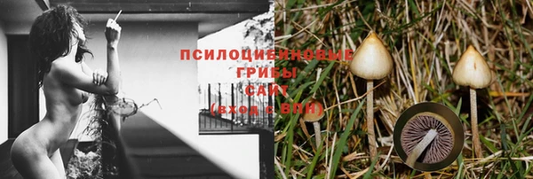 эйфоретик Богородицк
