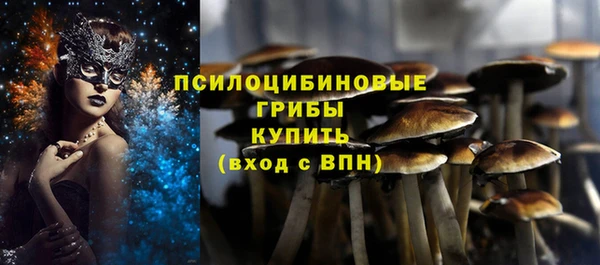 эйфоретик Богородицк